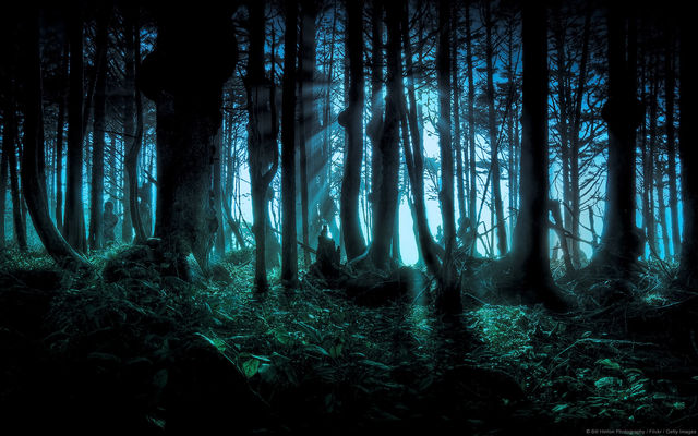 Bosque oscuro